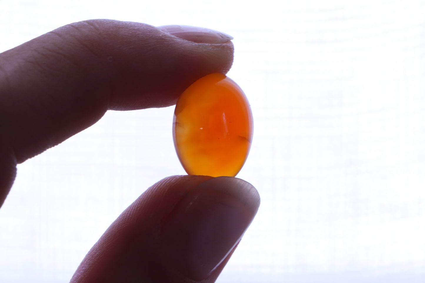 Talon Ring (Made to Order)