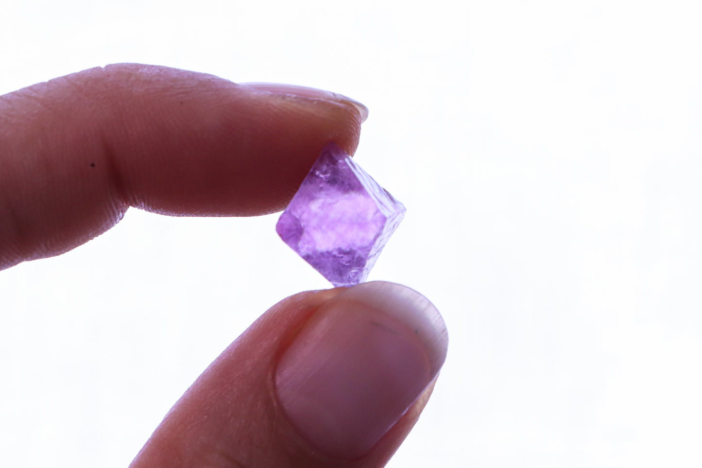 Fluorite Talon Pendant (Made to Order)