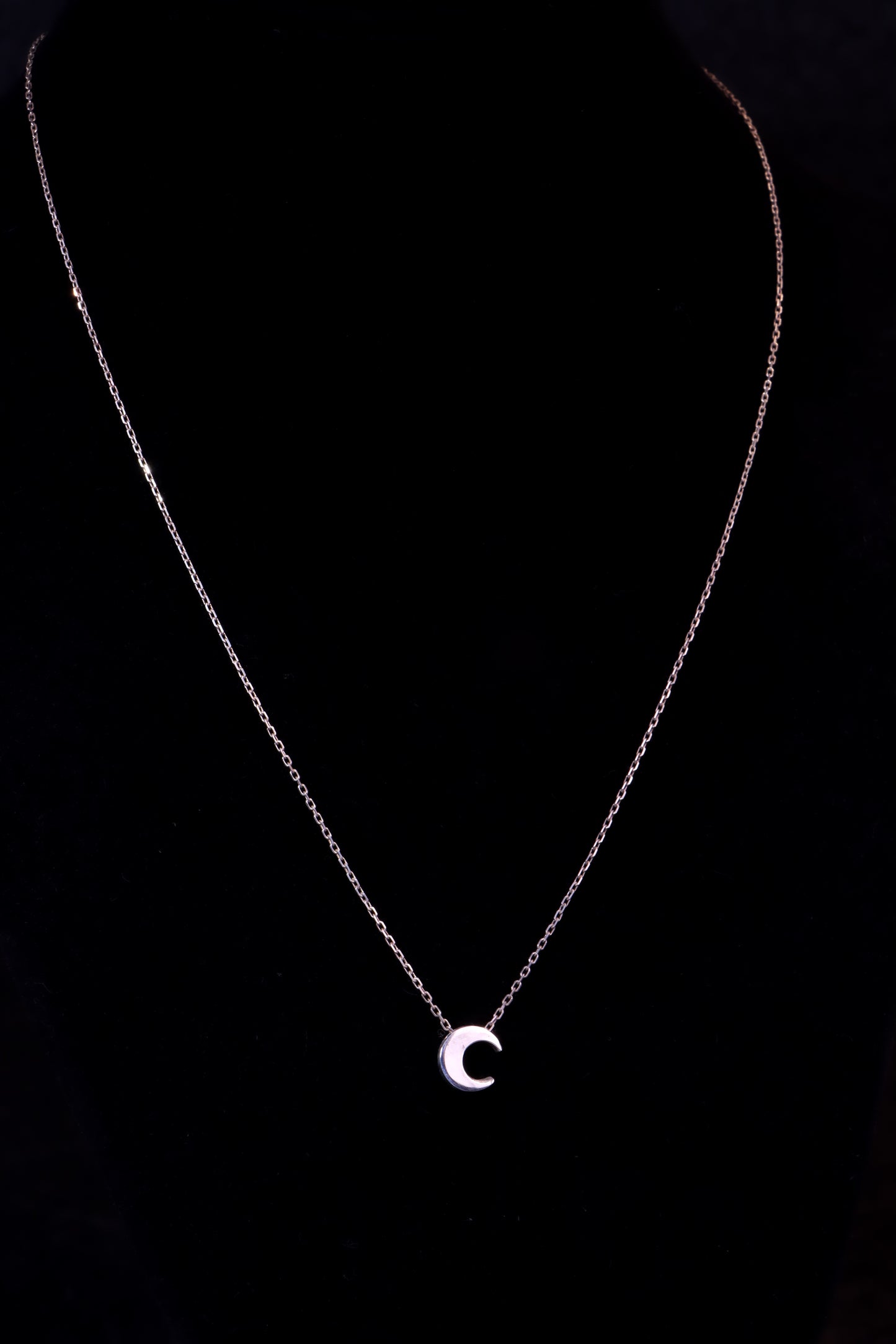 Hollow Form Crescent Necklace