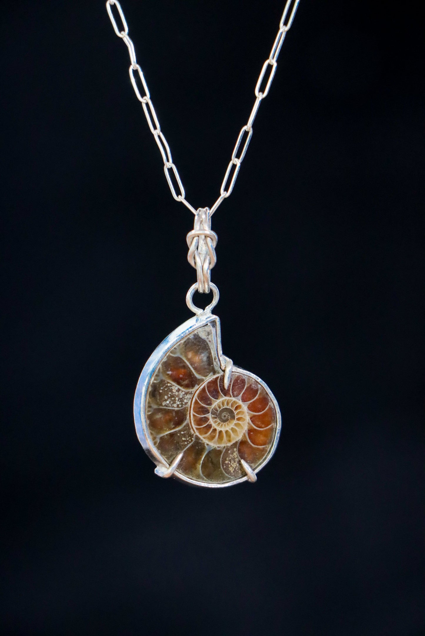 Ammonite Pendant