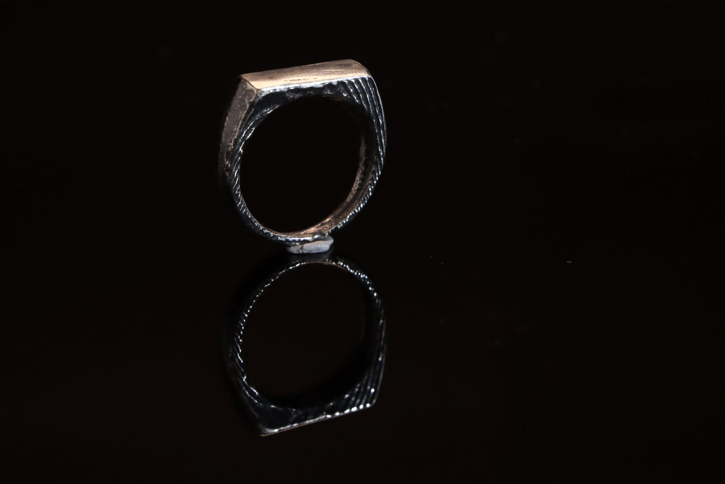 Cuttlefish Bar Signet Ring