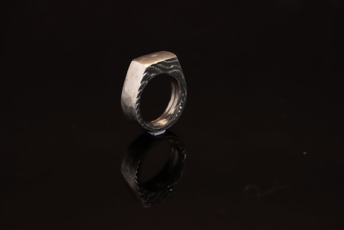 Cuttlefish Large Signet Ring