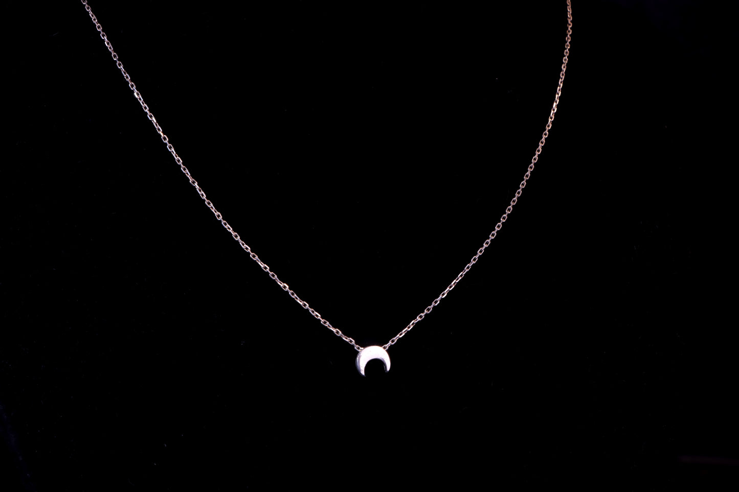 Hollow Form Crescent Necklace