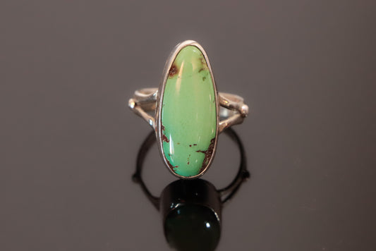 Nevada Dry Creek Turquoise Ring